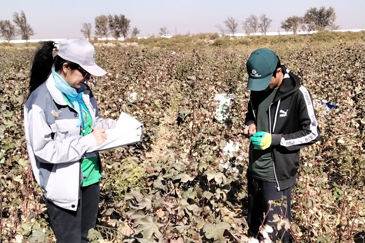 Теримчилар ҳақини олишди