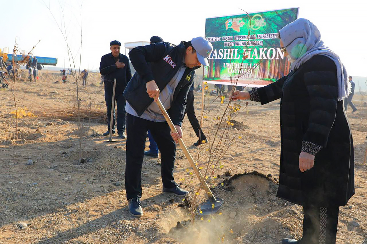 Navoiyda 3 mingdan ortiq manzarali daraxt ekildi