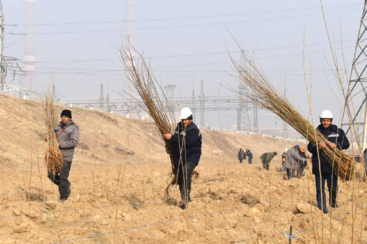 Ko‘chat ekishda namuna bo‘lishmoqda