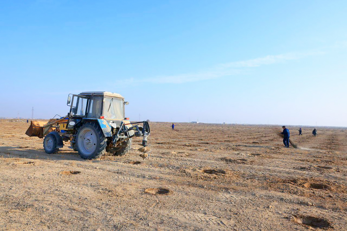 “Yashil makon” umummilliy harakati barchani bir maqsad yo‘lida birlashtirmoqda