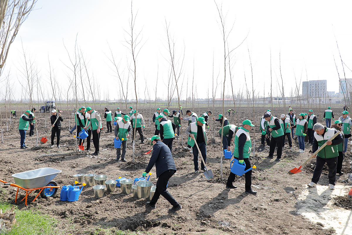 “Яшил макон” умуммиллий лойиҳаси амалда